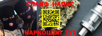 ешки Можга