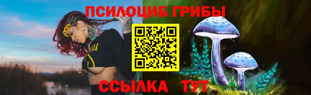 Псилоцибиновые грибы Psilocybine cubensis Ялта